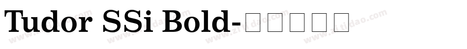 Tudor SSi Bold字体转换
